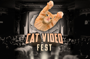NHM Movie Night: CatVideoFest