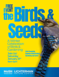 Birds & Seeds
