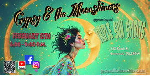 Gypsy & the Moonshiners LIVE at Triple Sun Spirits