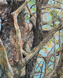 Dorothy Gunther Pugh: Nature Yearns 