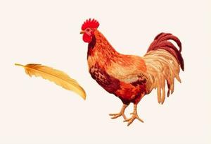 Profs & Pints DC: Kink or Disorder?