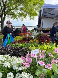Yorktown Market Days - Go Green & Garden Market