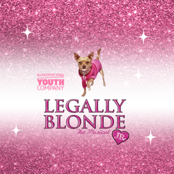 Legally Blonde the Musical Jr.