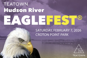22nd Annual Teatown Hudson River EagleFest®