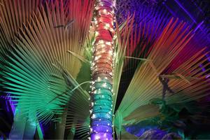 Love is Love Night at the Botanical Gardens