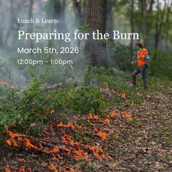 Lunch & Learn: Preparing for the Burn