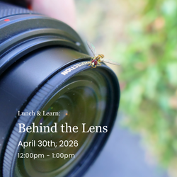 Lunch & Learn: Behind the Lens