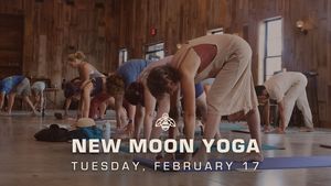 New Moon Dinner: with Complimentary Food & Drinks at Wilson's Orchard & Farm