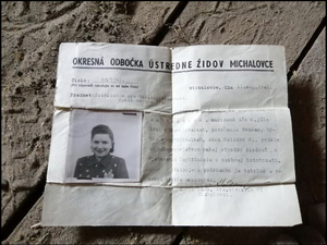 United States Holocaust Memorial Museum Presents 'Rescuing the Hidden Michalovce Collection'