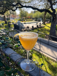 The Ruby Hotel & Bar Launches January Cocktail for a Cause Benefiting Emancipet Veterinary Clinics