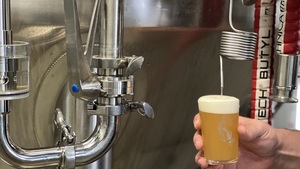 Brewer's Tour + Tasting