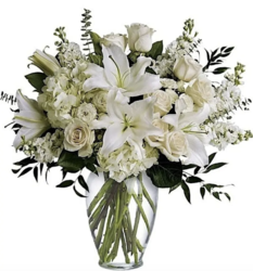 New Year, New Blooms!