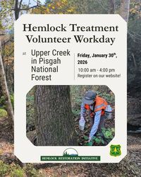 Hemlock Treatment Volunteer Workday at Upper Creek in Pisgah National Forest