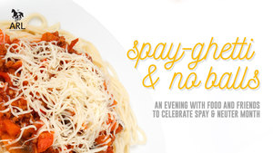 Spay-ghetti and No Balls Dinner