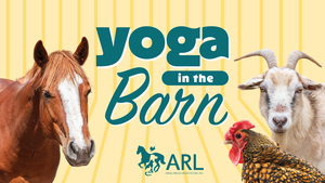 Yoga in the Barn