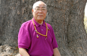 Lama Lodu Rinpoche gives teachings on Calm Abiding and Insight Meditation, January 17th-18th
