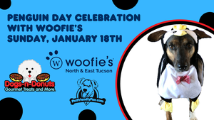 Dog-Friendly Penguin Day Celebration (Sunday)