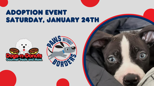 Adoption Day with Paws without Borders