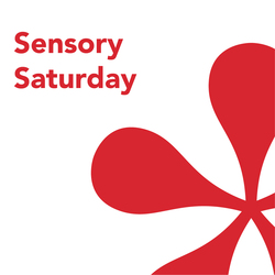 Sensory Saturday