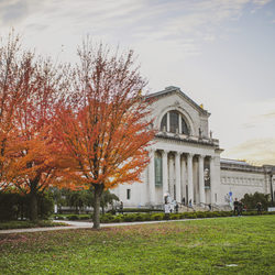 Audio Description Tour—The Art of Impact