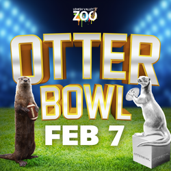 Otterbowl