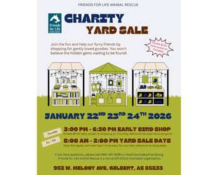 HUGE 1/2 acre charity yard sale!