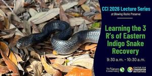 CCI 2026 Lecture Series: Learning the 3 R’s of Eastern Indigo Snake Recovery