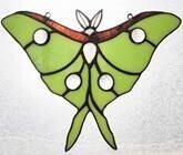 MAACM The Luna Moth Glass Class