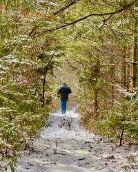 Wildlands Conservancy – Get Out! For Wellness: South Mountain