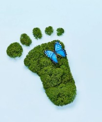 Sustainability Saturday