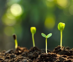 Public Homeschool: Green Thumb