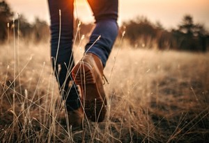 MeckTeen Explorers: Pilot Mountain State Park