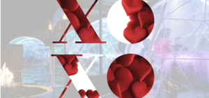 Valentines Day Igloo Experience- VASO