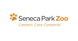 Library Learning Lab: Microplastics with the Seneca Park Zoomobile