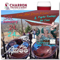 Chris Arpad at Charron Vineyards & Winery - Solo Steel Drums Entertainment