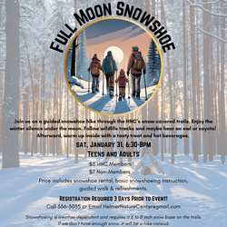 Full Moon Snowshoe