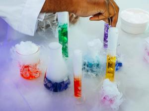 STEAM Experiments: Human Body (Ages 6-11)
