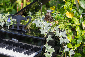 Bugs, Rhythm, and Blues