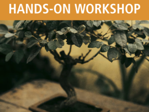 Bonsai for Beginners