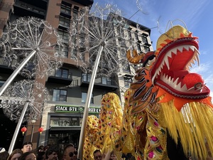 Lunar New Year Celebration at The Village