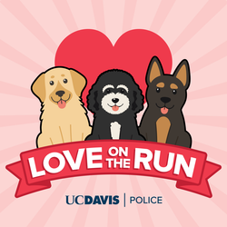 Love on the Run 5K to Support UC Davis Police K-9 Program