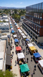 Sunnyvale Art & Wine Festival