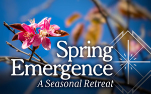 Spring Emergence: A Seasonal Retreat
