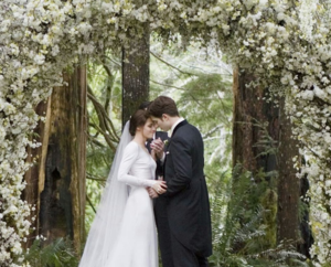 The Twilight Saga: Breaking Dawn - Part 1 Movie Party