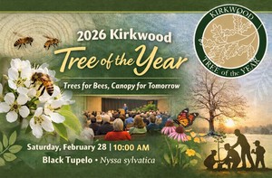 Tree of the Year With Kirkwood City Mayor Gibbons