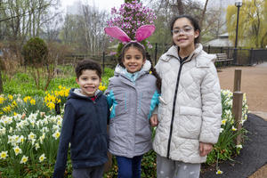 Spring Egg-Stravaganza at Lincoln Park Zoo
