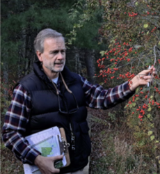 Winter Tree Walk with Jeff Adams