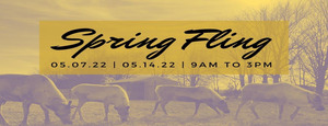 The Reindeer Farm Spring Fling