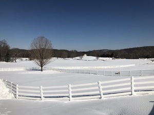 Open Day at New Pond Farm Education Center!