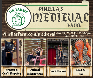 Pinellas Medieval Faire